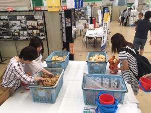 詰め放題野菜お客様